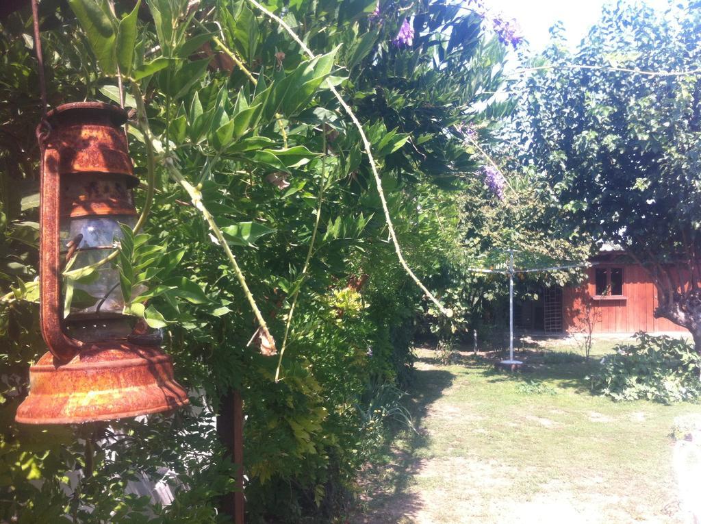Santa Maria Apartment Donji Kovilj Bagian luar foto