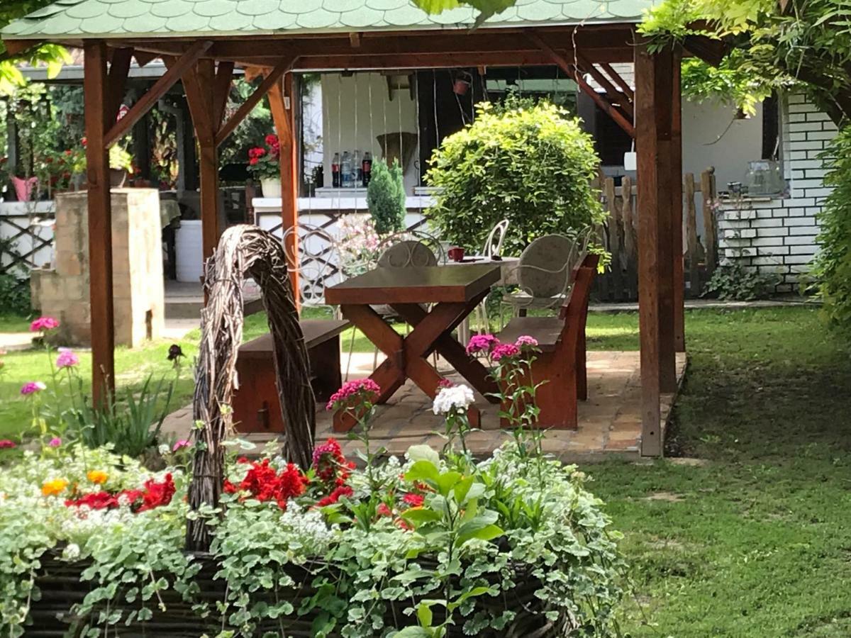 Santa Maria Apartment Donji Kovilj Bagian luar foto
